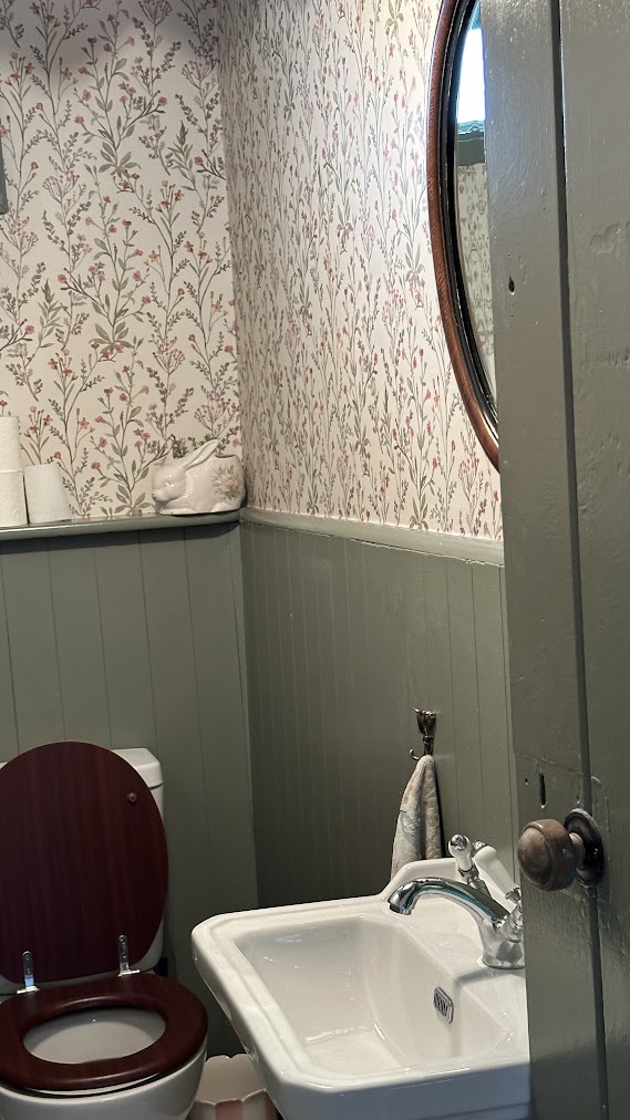 Daisys Downstairs Toilet